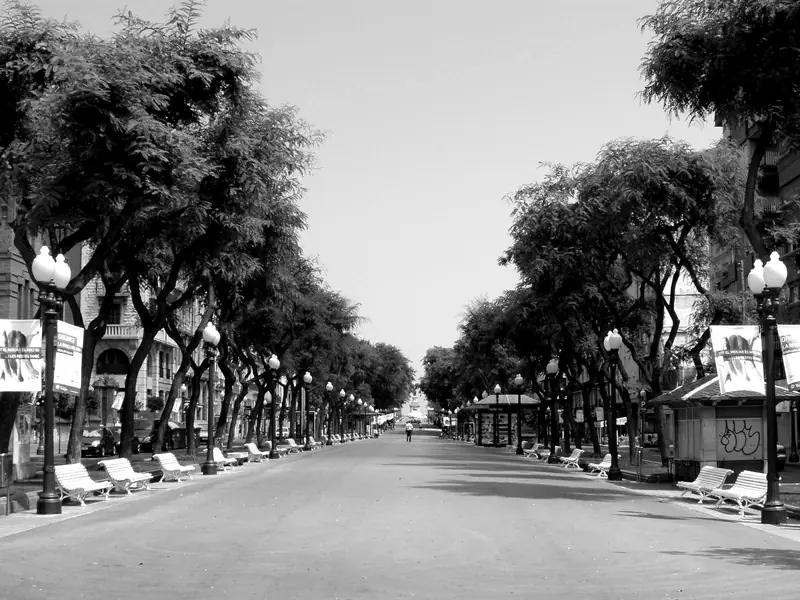 Rambla Nova de Tarragona con sus árboles y farolas
